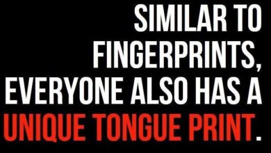 Do you know about Tongue-print?