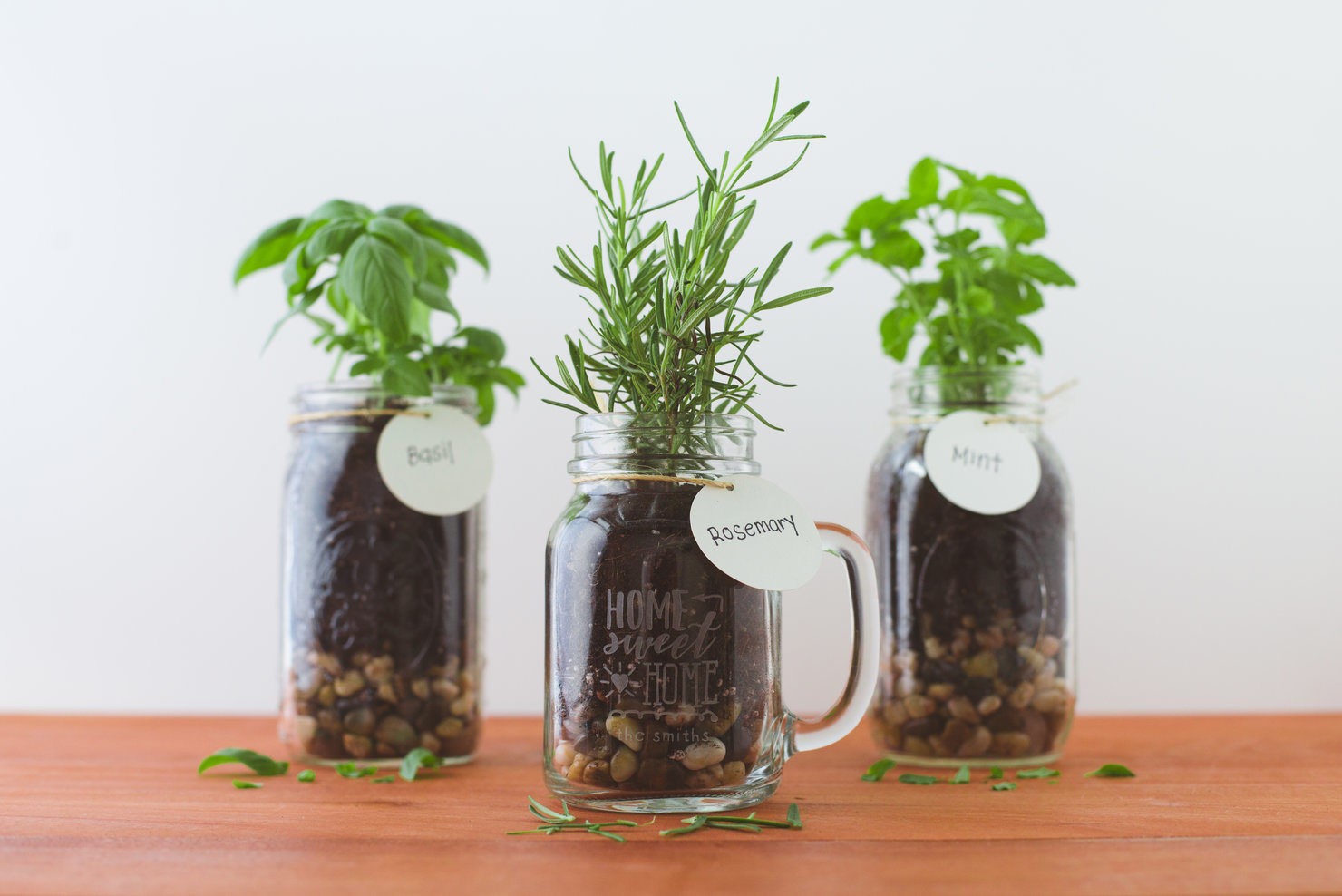 Make your kitchen windowsill an herb garden