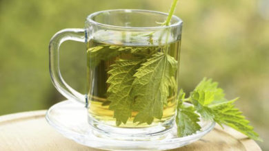 Nettle - natural cleanser of the organism