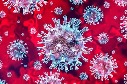 What happens when you exhibit coronavirus?